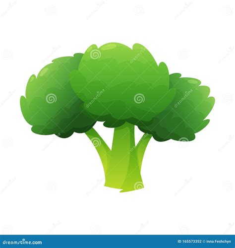 Broccoli Fresh Vegetable Vector Concept Healthy Diet Flat Style