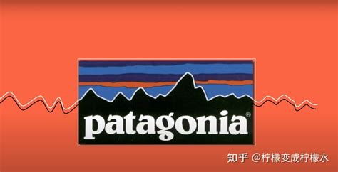 为什么patagonia宣布 地球是我们唯一的股东”？ 知乎