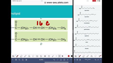 ALEKS: Identifying the parts of a glycerophospholipid - YouTube