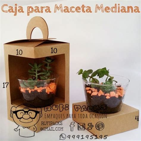 CAJA PARA MACETA MEDIANA Rufipacks