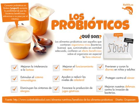 Qué son los Probióticos saludable nutricion salud