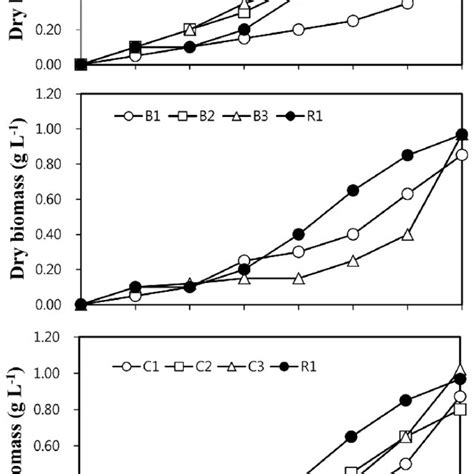 Dry Biomass Production For The Period Of S Platensis Cultivation