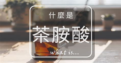 茶胺酸有助於睡眠？3種茶胺酸的功效和副作用 血清素幫幫忙