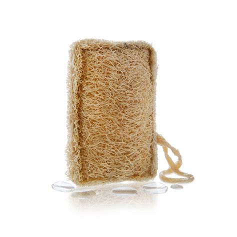 Natural loofah sponge – #untrashy