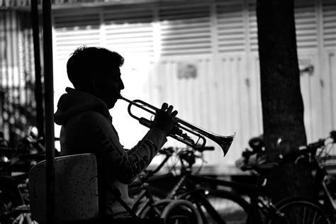 Silhouette Trumpet Photos, Download The BEST Free Silhouette Trumpet ...