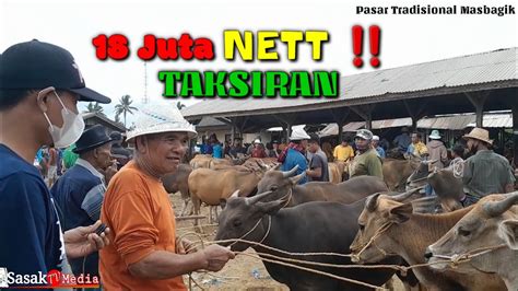 Pasar Masbagik Terbaru Sapi Sapi Jumbo Banyak Laku Youtube