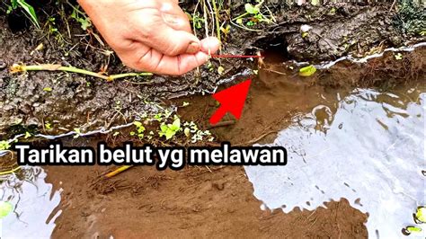 Baru Taruh Umpan Langsung Di Sambar Mancing Di Spot Idaman Youtube