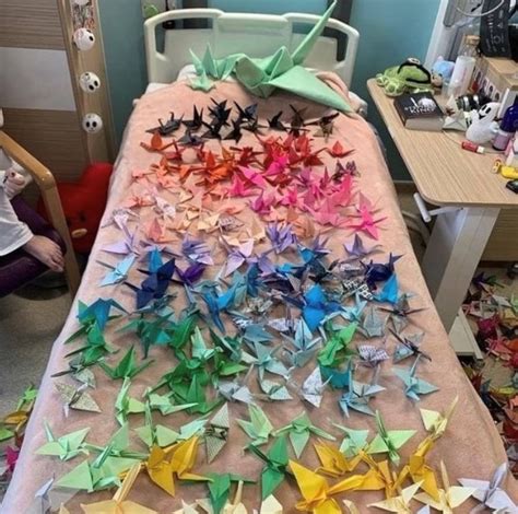 Hospital Patient 15 Makes 1 000 Origami Cranes For Good Luck