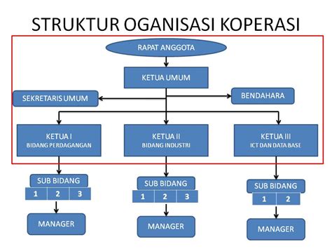 Contoh Struktur Organisasi Koperasi Homecare24