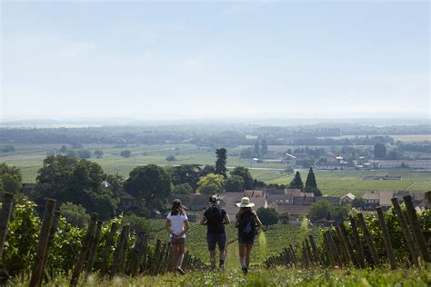 Saint Vincent Tournante Office De Tourisme Gevrey Chambertin