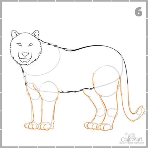 How To Create A Nice Drawing Of A Tiger For Beginners Craft Mart