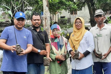 Kurangi Emisi Karbon Yayasan Distara Dan FP UISU Tanam Mangrove Di