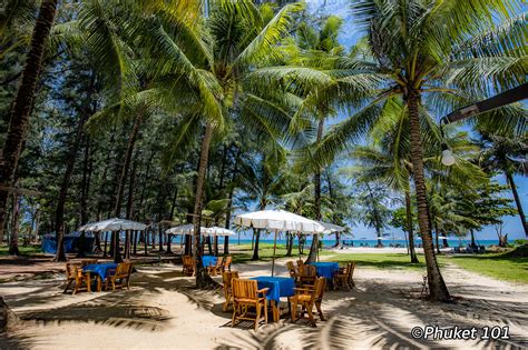 Layan Beach ⛱️ What to do in Layan Beach? - PHUKET 101