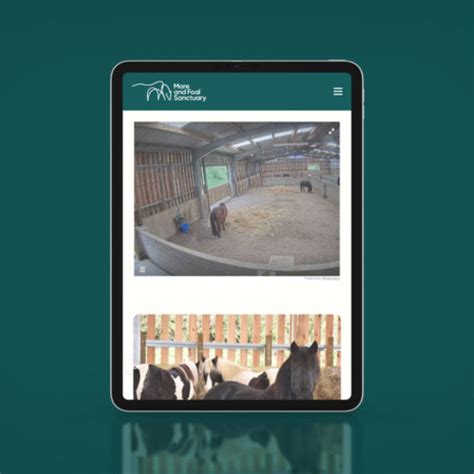 The Mare and Foal Sanctuary | Splitpixel | Case Study