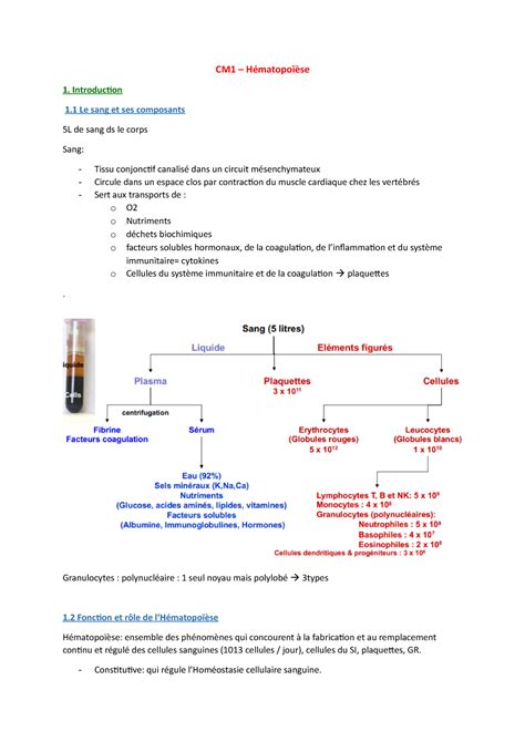 CM1 Hématopoïèse Notes de cours 1 CM1 Hématopoïèse Introduction