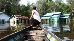 Sebulan Tak Surut Surut Banjir Di Sintang Masih Setinggi 1 Meter