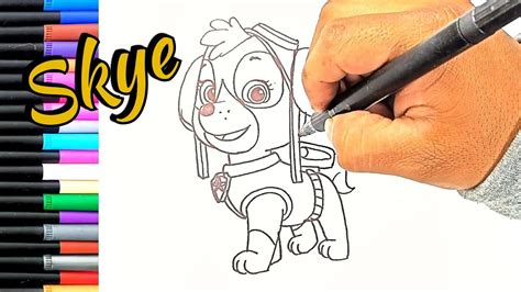 Como Dibujar A Skye De Paw Patrol Patrulla Canina Fácil How To Draw