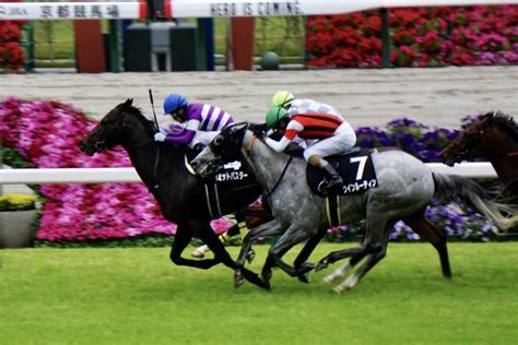 【あずさ賞】リミットバスターが混戦のゴール前から抜け出す 競馬ニュースなら競馬のおはなし