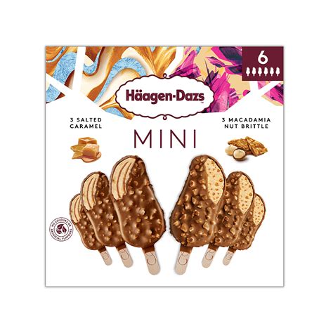 Salted Caramel Macadamia Nut Brittle Ministicks Häagen Dazs FR