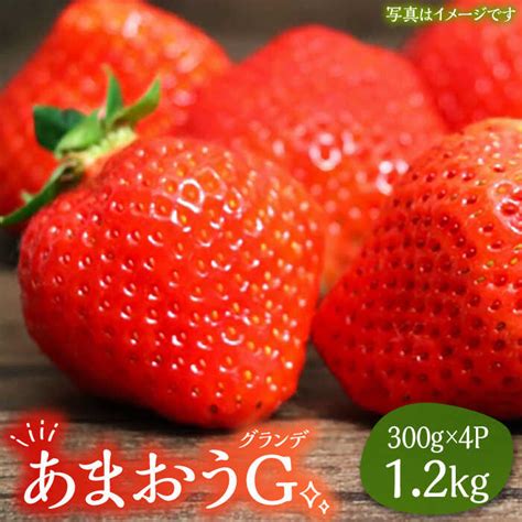 【楽天市場】【ふるさと納税】あまおう 300g×4p 12kg 2箱 Gグランデ《豊前市》【山田農場 フルーツランド】 いちご イチゴ