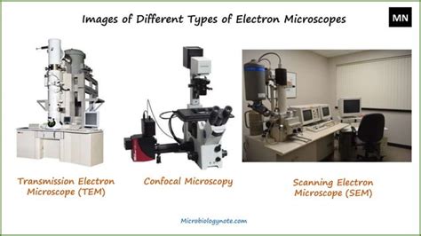 Electron Microscope: Definition, Types, Parts, Application, Advantages ...