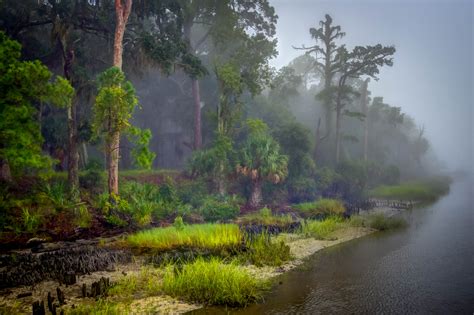 壁纸 阳光 树木 景观 爬坡道 湖 性质 砂 反射 草 天空 泥 早上 薄雾 HDR 大气层 国家公园 堡