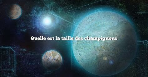 Quelle Est La Taille Des Champignons Diffusonslascience