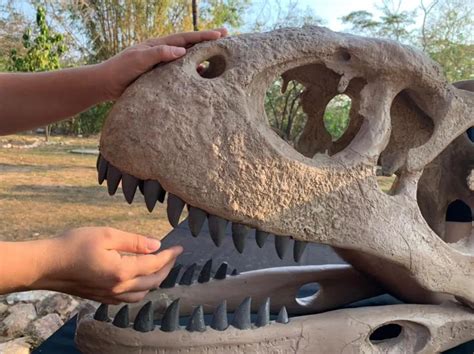 Programação no Museu de História Natural de Mato Grosso prioriza a