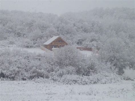 Vand Teren Extravilan Forestier Podari Satul De Vacanta M