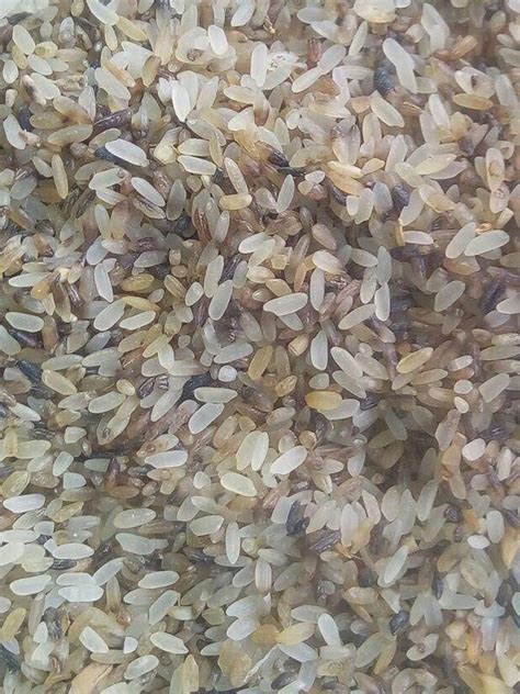 Broken Rejected Brown Rice Loose At Rs 23 Kg In Hosur ID 25001271591