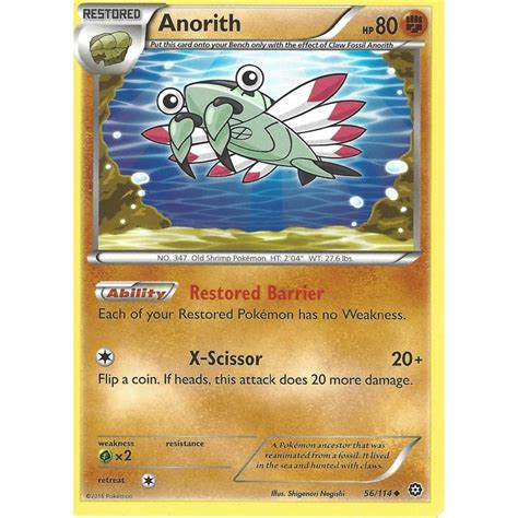 Pokemon Trading Card Game 56 114 Anorith Uncommon XY 11 Steam Siege