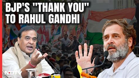 Assam Cm Comments On Rahul Gandhi Assam Bjp S Thank You Note On Rahul