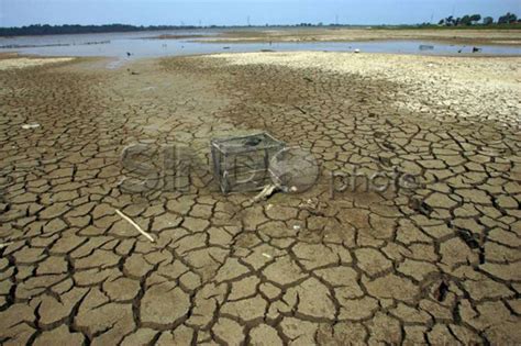 Kota Makassar Tanggap Darurat Kekeringan 8 Kecamatan Terdampak El Nino