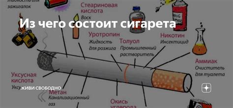 Из чего состоит сигарета | ЖИВИ СВОБОДНО | Дзен
