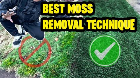 HOW TO REMOVE MOSS FROM YOUR LAWN Treated Vs Untreated Results 2 Step