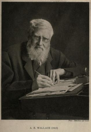 Marchant James Ed Alfred Russel Wallace Letters And