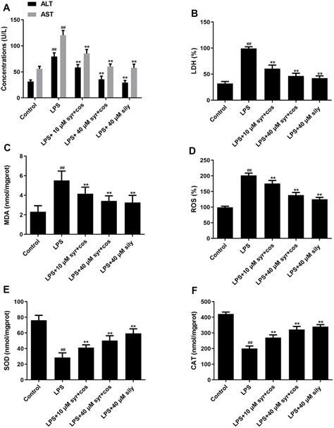 Hepatoprotective Effect Of Syringin Combined With Costunolide Against