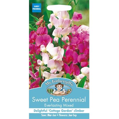 Mr Fothergills Sweet Pea Perennial Everlasting Mixed Seeds Ocado