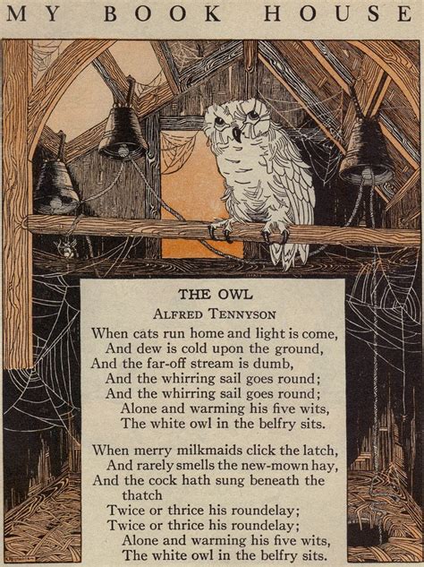 45 Owl Poem Info