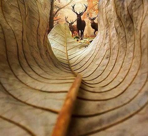 Unusual Point Of View Creative Photography Nature Photography Fine