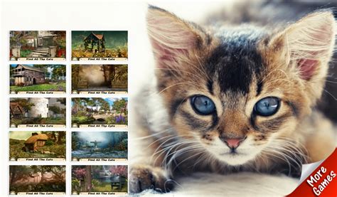 Find The Cat Hidden Object Game Fun And Relaxing Puzzle For Kids And Cat