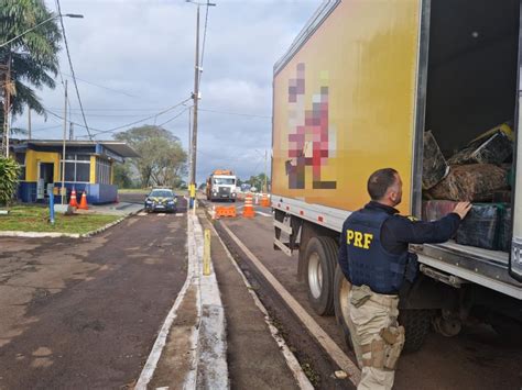 PRF apreende três toneladas de maconha em caminhão no Paraná Polícia