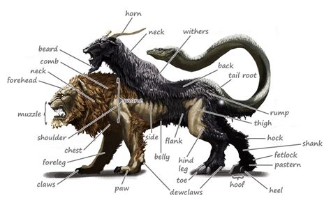 Chimera | Chimera mythology, Mythological creatures, Mythical animal