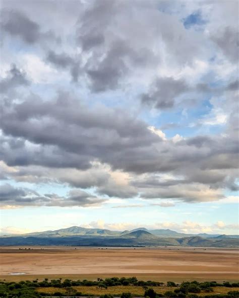 Laguna De Sayula Explora Un Santuario De Aves Y De Arqueología