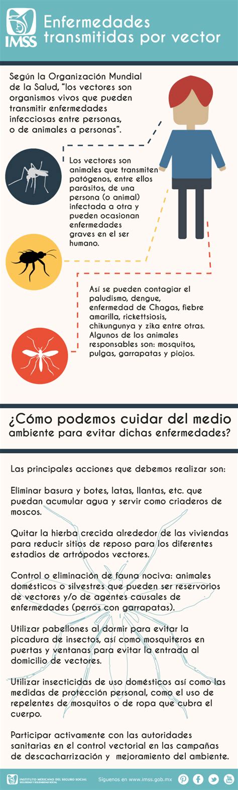 Infografía Enfermedades trasmitidas por vector