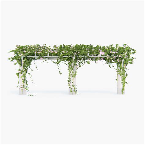 3d max pergola climbing roses flowers