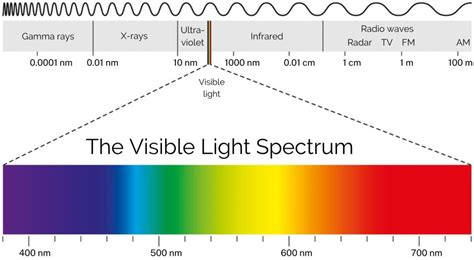 What Is Blue Light? – Arctonu