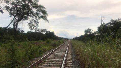 Quais são os meios de transporte ferroviário BLOG Conhecimento CPG