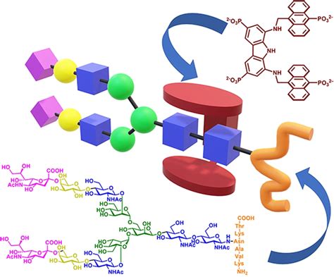 Biomimetic Tweezers For N‐glycans Selective Recognition Of The Core