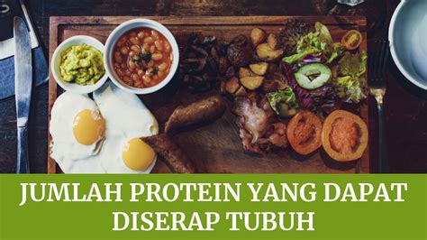 Berapa Banyak Protein Yang Dapat Diserap Dalam Satu Kali Makan Youtube